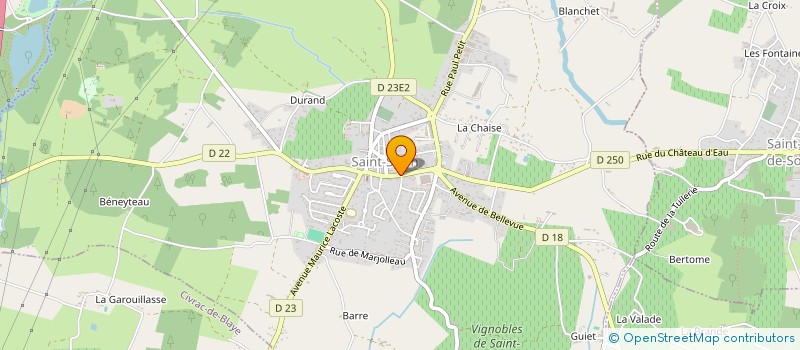 localisation de l'entreprise KELTA-STELO  SAINT-SAVIN