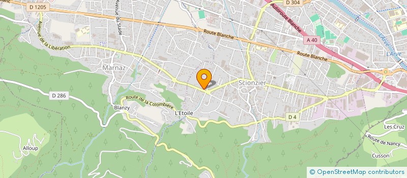 localisation de l'entreprise KO-SAVOIE-IMO à SCIONZIER