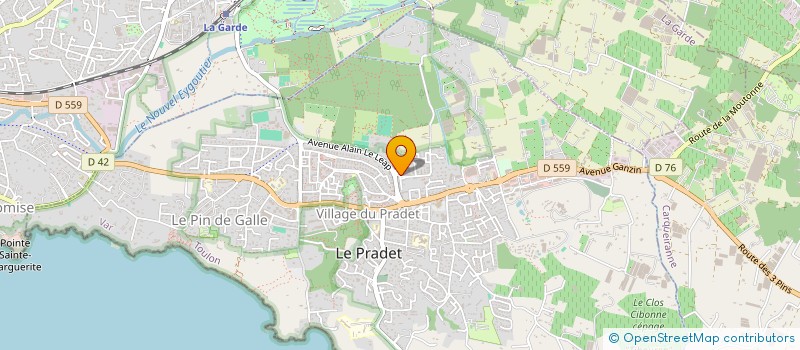 localisation de l'entreprise KT SALOMON  LE PRADET