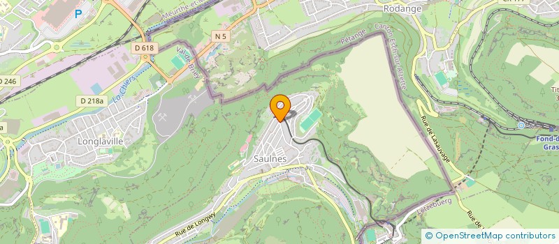 localisation de l'entreprise L'ABEILLE SAULNOISE  SAULNES