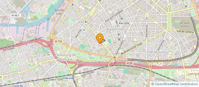 localisation de l'entreprise L'AGORA INFORMATIQUE  LILLE
