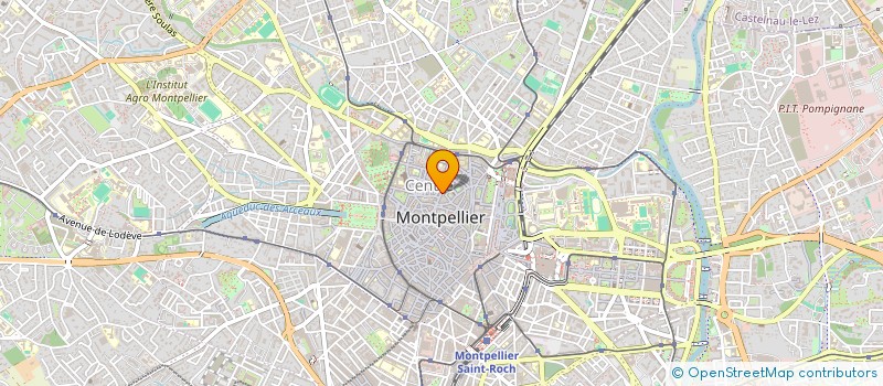 localisation de l'entreprise L'ALBATROS à MONTPELLIER