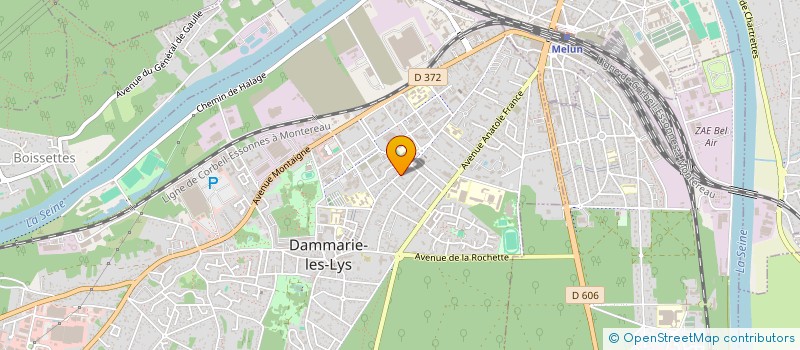 localisation de l'entreprise L'ALIMENTATION 257 AVENUE à DAMMARIE-LES-LYS