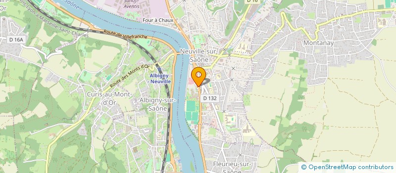 localisation de l'entreprise L'AMICAL DE LA FETE à NEUVILLE-SUR-SAONE