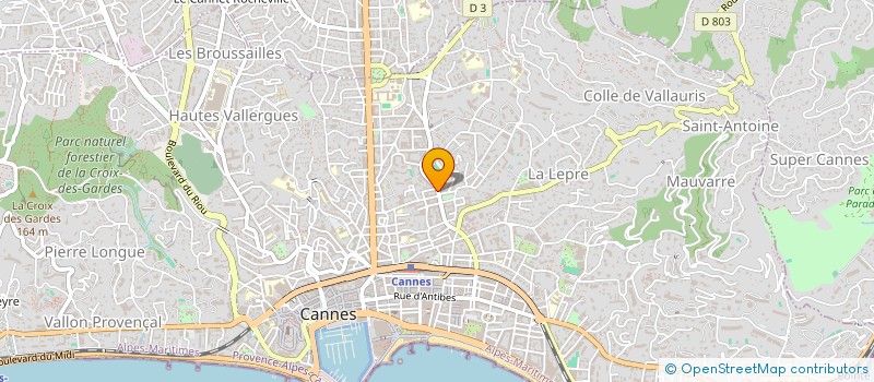 localisation de l'entreprise L'AMNESIA à CANNES