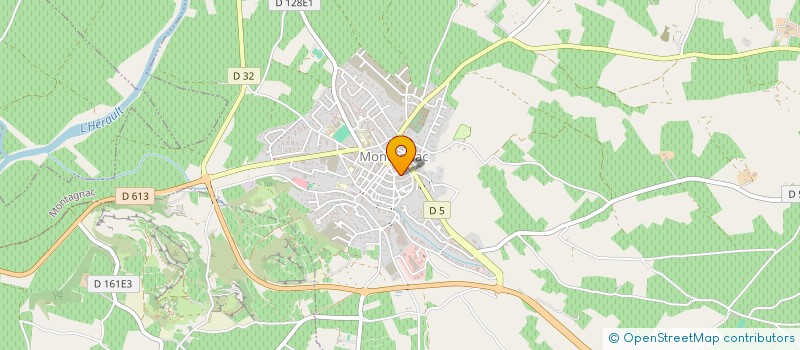 localisation de l'entreprise L'AMPOULE FERTILE à MONTPELLIER