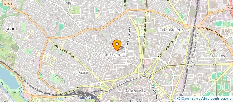 localisation de l'entreprise L'ANE CHATOUILLE à DIJON