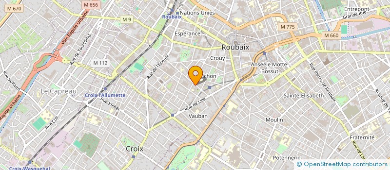 localisation de l'entreprise L'ANE HILARE à ROUBAIX