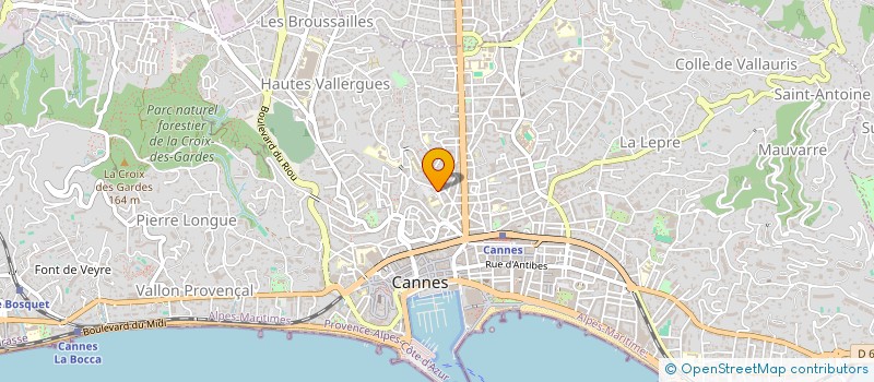 localisation de l'entreprise L'ANTIDOTE à CANNES