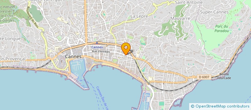 localisation de l'entreprise L APPARTEMENT PIERRE ET NICOLAS à CANNES