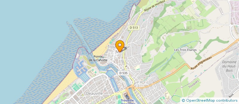 localisation de l'entreprise L'APPEL DU LARGE à TROUVILLE-SUR-MER