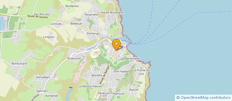 localisation de l'entreprise L'APPEL SAUVAGE  LE PALAIS