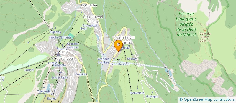 localisation de l'entreprise L'ARAUCARIA à COURCHEVEL