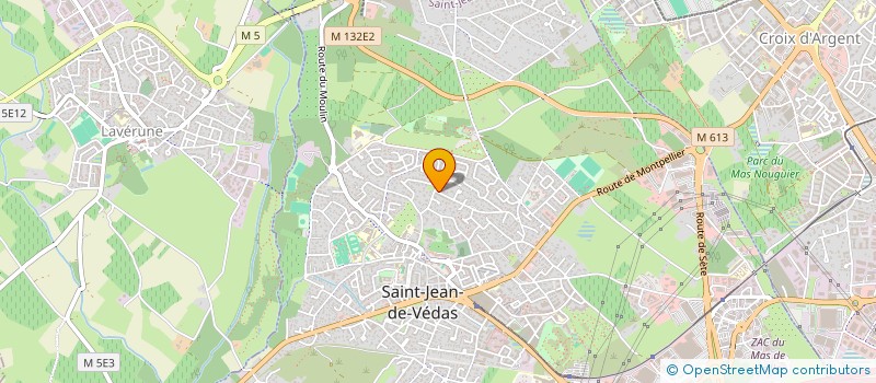 localisation de l'entreprise L'ARBOUSIER  SAINT-JEAN-DE-VEDAS