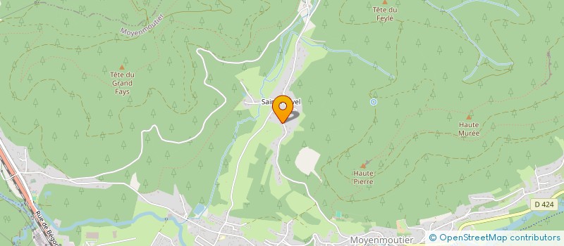 localisation de l'entreprise L'ARBRE AUX 6 RACINES  MOYENMOUTIER