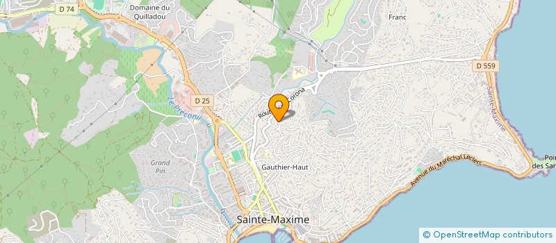 localisation de l'entreprise L'ARBRE D'OR à SAINTE-MAXIME