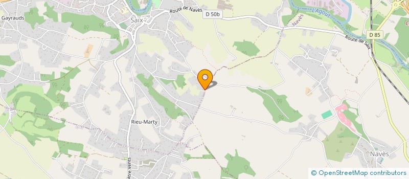 localisation de l'entreprise L'ARBRE DE VIE  CASTRES