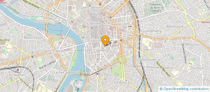 localisation de l'entreprise L'ARBRE EN POT à TOULOUSE