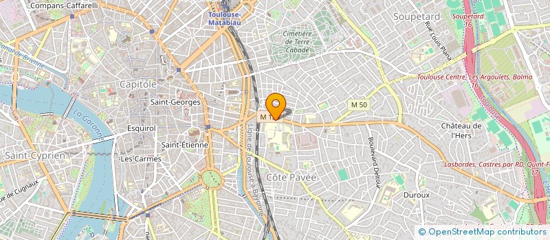 localisation de l'entreprise L ARBRE EST DANS LA GRAINE  TOULOUSE