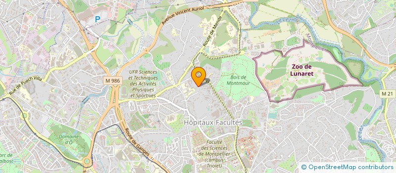 localisation de l'entreprise L'ARBRE FLEURI à MONTPELLIER