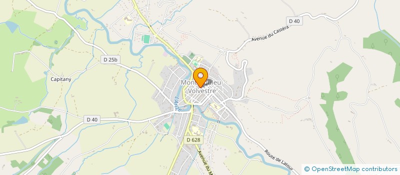 localisation de l'entreprise L ARIZE IMMO  MONTESQUIEU-VOLVESTRE