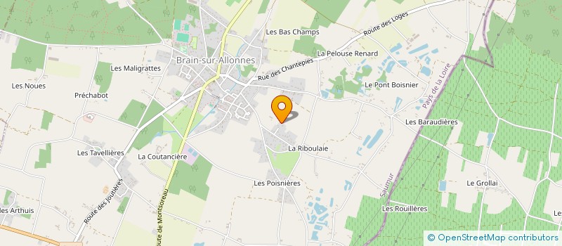 localisation de l'entreprise L'ART DONS DE LOIRE  BRAIN-SUR-ALLONNES