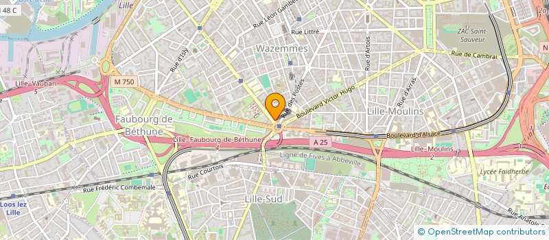localisation de l'entreprise L ART DU PAIN à LILLE
