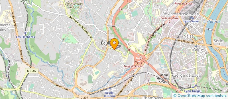 localisation de l'entreprise L'ART ' DU PAIN L ET C  ECULLY