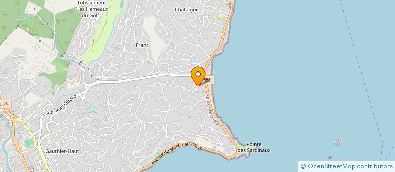 localisation de l'entreprise L'ART VISUEL à SAINTE-MAXIME