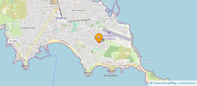 localisation de l'entreprise L'ARTBORETUM PRATIQUES DU DESSIN ET DE LA COULEUR  QUIBERON