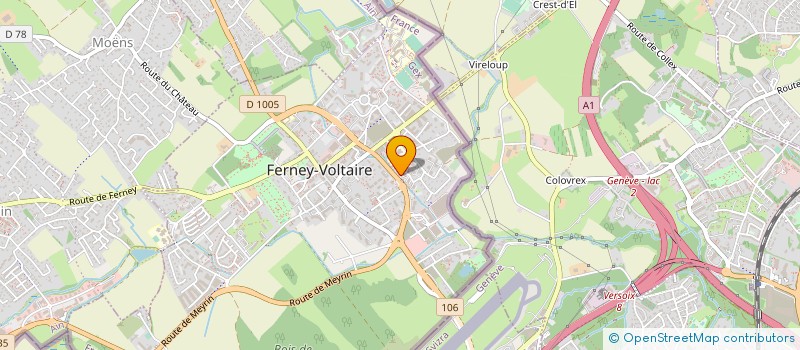 localisation de l'entreprise L'ARTISAN DU PROPRE à FERNEY-VOLTAIRE