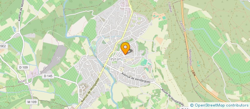 localisation de l'entreprise L ARTISAN FLEURISTE  TEYRAN