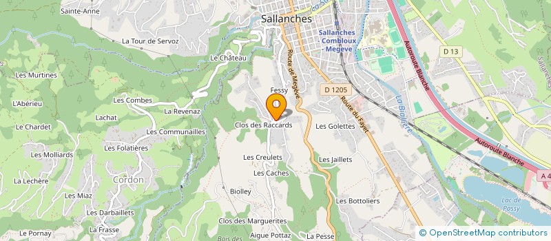 localisation de l'entreprise L' ASPHODELLE à SALLANCHES