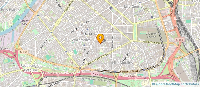 localisation de l'entreprise L'ASSOCIATION BOHU TOHU à LILLE