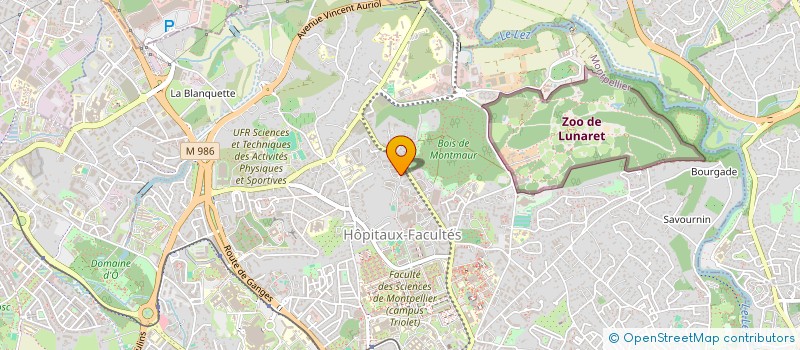 localisation de l'entreprise L'ASSOCIATION DES JEUNES TALENTS à MONTPELLIER