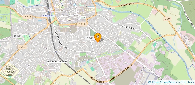 localisation de l'entreprise L'ASSOCIATION POUR HAGUENAU, NATURELLEMENT  HAGUENAU