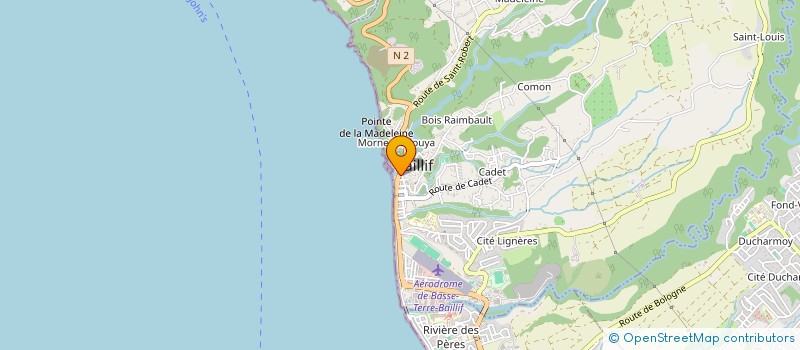 localisation de l'entreprise L'ATELIE FLORAL DU PAPILLON à BAILLIF