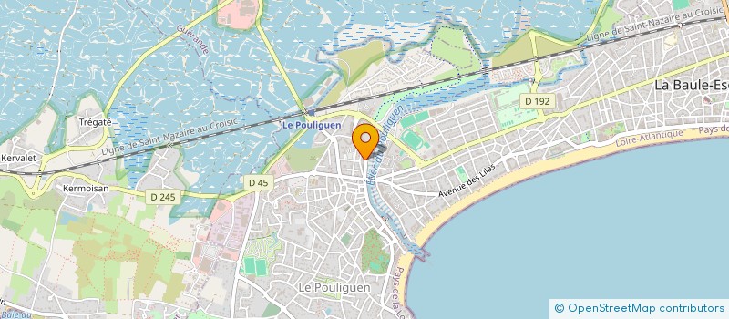 localisation de l'entreprise L'ATELIER DE JOY  LE POULIGUEN