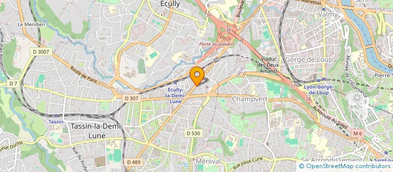 localisation de l'entreprise L'ATELIER DE L'HORLOGE  TASSIN-LA-DEMI-LUNE