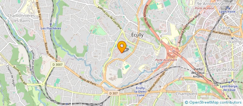 localisation de l'entreprise L'ATELIER DES ARTISTES à ECULLY