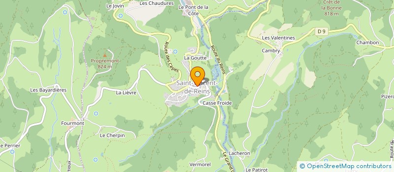 localisation de l'entreprise L'ATELIER DES CA PEINT  SAINT-VINCENT-DE-REINS