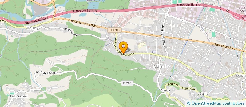 localisation de l'entreprise L'ATELIER DU MENUISIER à MARNAZ