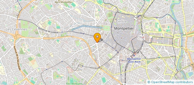localisation de l'entreprise L'ATELIER DU PAIN SALENGRO à MONTPELLIER