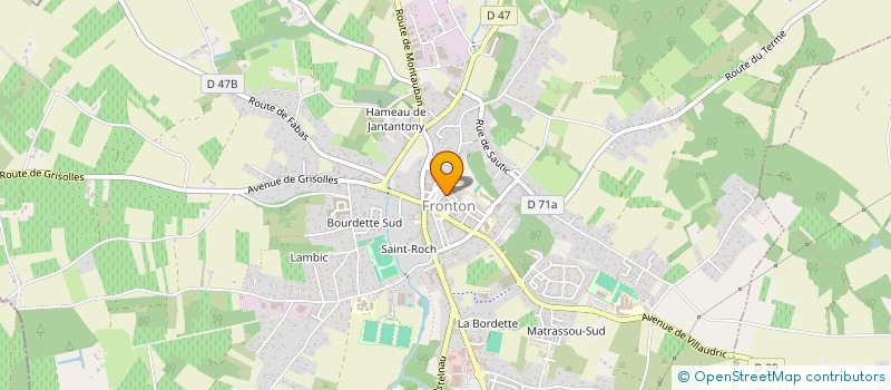 localisation de l'entreprise L'ATELIER FLORAL  FRONTON