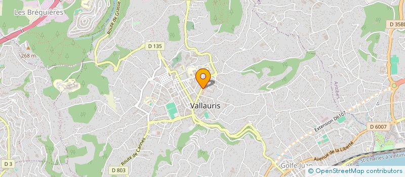 localisation de l'entreprise L'ATELIER J&J COIFFURE à VALLAURIS