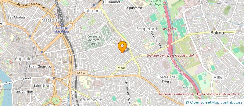 localisation de l'entreprise L'ATELIER-THEATRE DE TOULOUSE à TOULOUSE