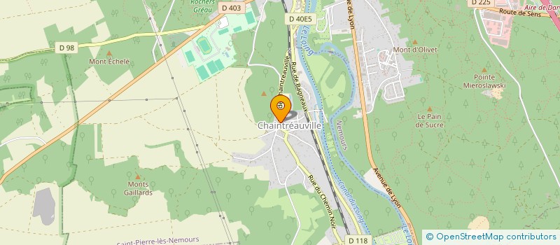 localisation de l'entreprise L'AUBERGE DES SOURCES  SAINT-PIERRE-LES-NEMOURS