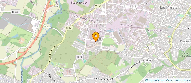 localisation de l'entreprise L'AVANT-GARDISTE  PLAISANCE-DU-TOUCH