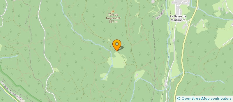 localisation de l'entreprise L'AVENIR  ARRENTES-DE-CORCIEUX