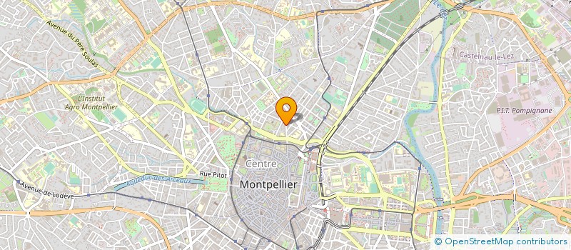 localisation de l'entreprise L'AVENIR EN COMMUN MONTPELLIER à MONTPELLIER